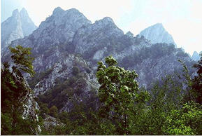 Parque Natural de Ponga: Desfiladero de los Beyos.