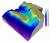 Área Marina Protegida: el Cachucho.