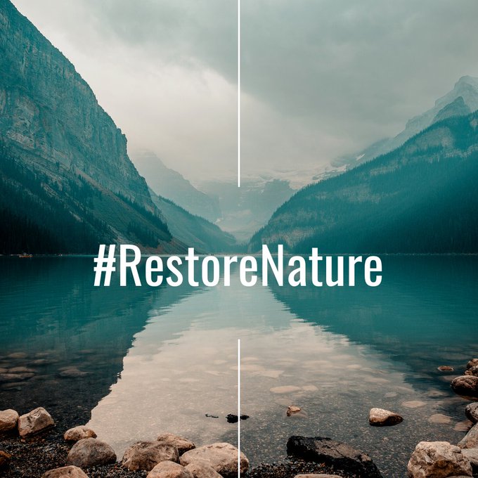 Imagen - El Consejo de la UE aprueba el Reglamento sobre Restauración de la Naturaleza