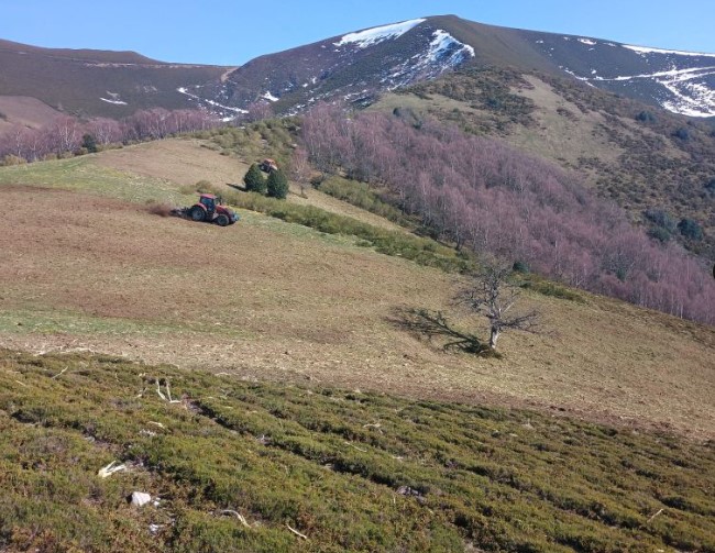 Imagen - El Principado moviliza 85.000 euros de los fondos MRR para la restauración de pastizales en el Parque Natural de Fuentes del Narcea, Degaña e Ibias