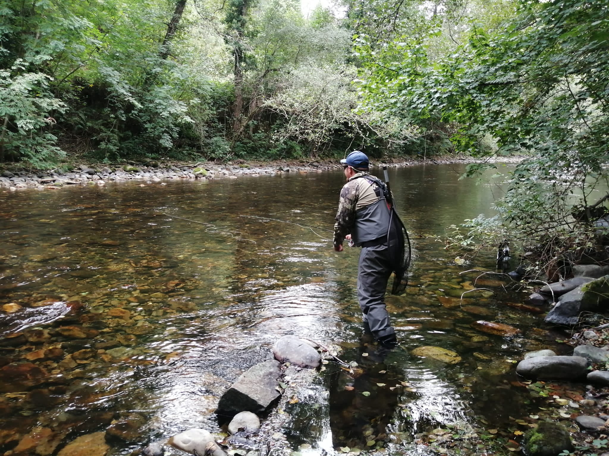 Imagen - Medio Rural evaluará todos los indicadores científicos para adoptar las medidas adecuadas para garantizar la conservación del salmón