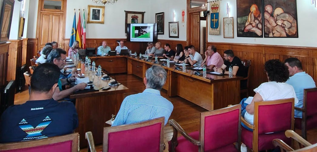 Imagen - Medio Rural lleva capturadas más de 809.000 reinas de avispón asiático con las 51.000 trampas instaladas desde 2018, cuando se iniciaron los planes de control de la especie
